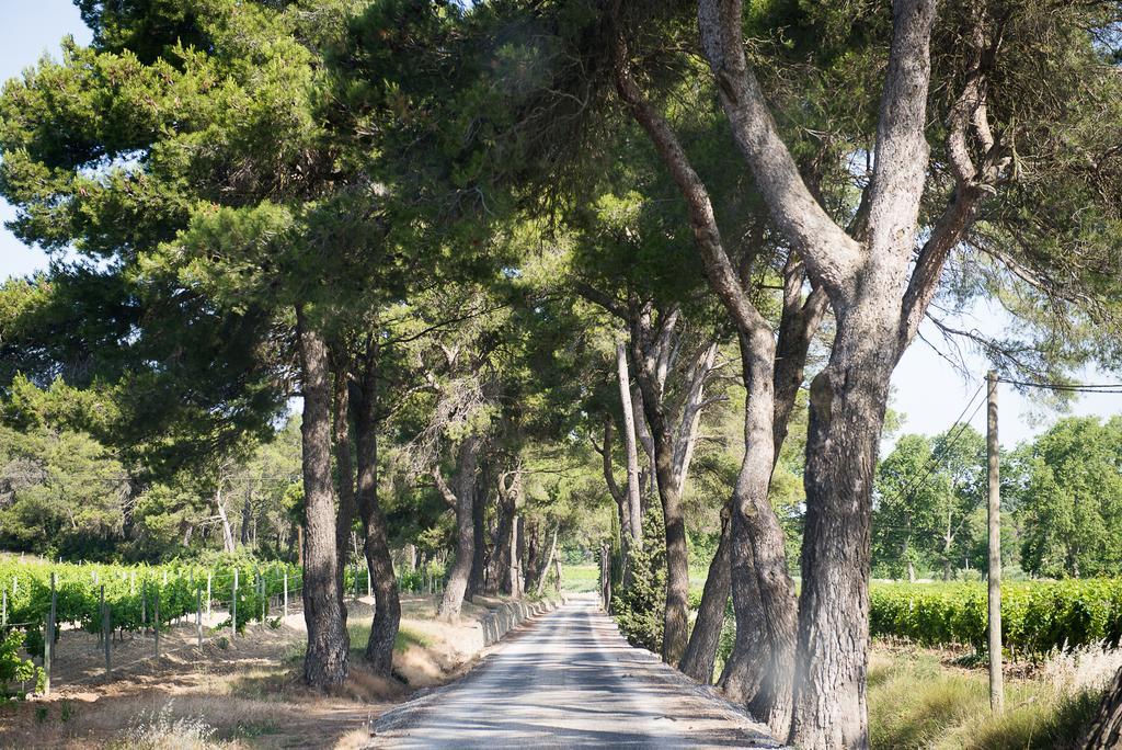 Chateau Canet Villa Rustiques Eksteriør billede