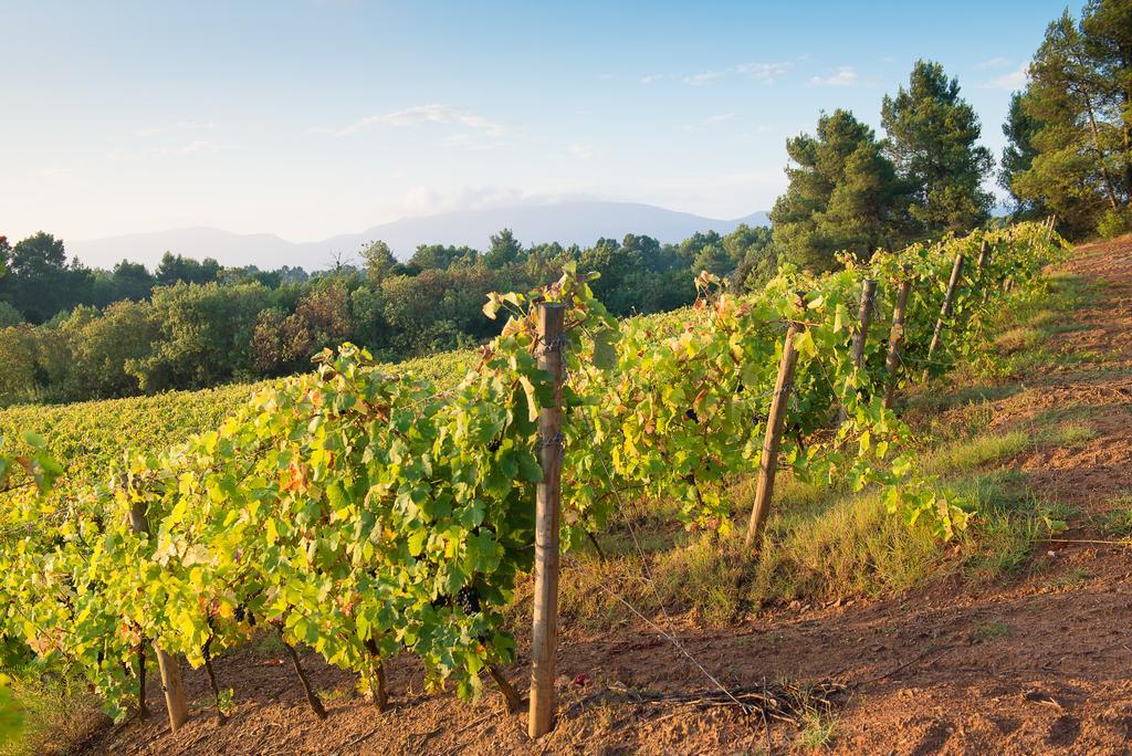 Chateau Canet Villa Rustiques Eksteriør billede