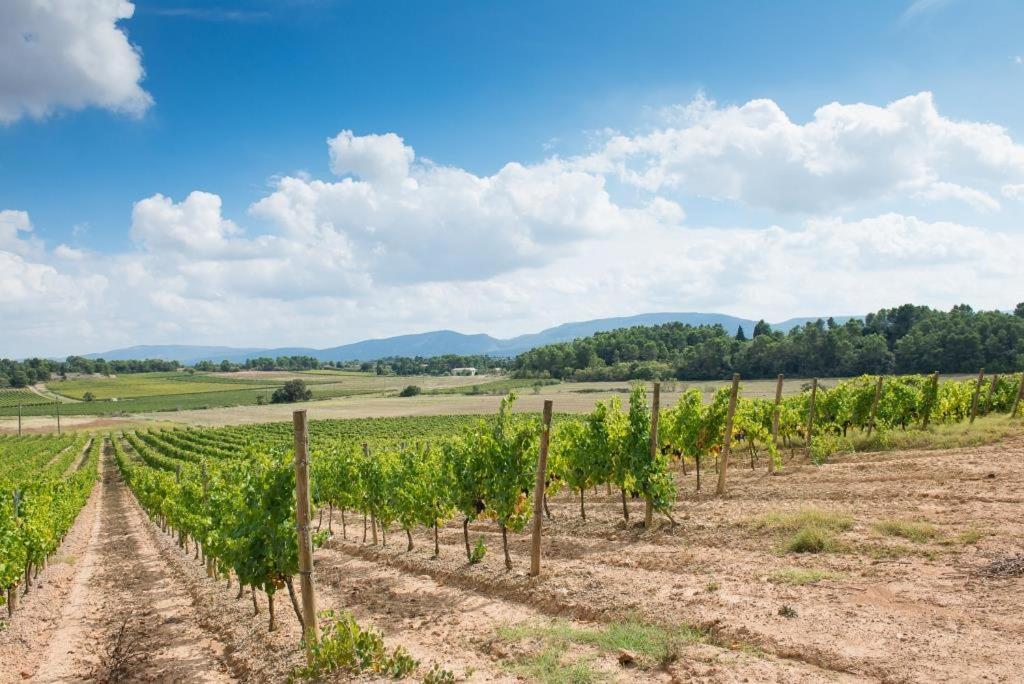 Chateau Canet Villa Rustiques Eksteriør billede